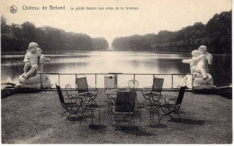 BELGIQUE -  Château De BELOEIL - Le Grand Bassin Vue Prise De La Terrasse - Beloeil