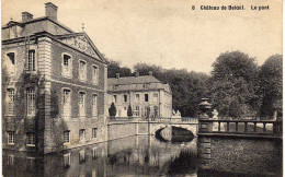 BELGIQUE -  Château De BELOEIL - Le Pont - Belöil