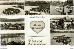 LAC DE CONSTANCE CARTE A SYSTEME SOUVENIR VUE D'UNE FLEUR EDELWEISS PORTE BONHEUR - Autres & Non Classés