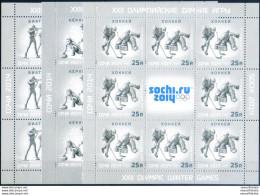 Sport. Olimpiadi Sochi 2013. - Blocks & Sheetlets & Panes