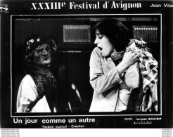 XXXIII Em FESTIVAL AVIGNON 1980 JEAN VILAR  UN JOUR COMME UN AUTRE PHOTO DE PRESSE FORMAT 20 X 15 CM - Famous People