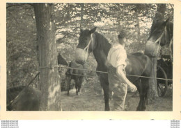 SECONDE GUERRE SOLDATS DE LA WEHRMACHT ET CHEVAL PHOTO ORIGINALE FORMAT 9.50 X 6 CM - War, Military