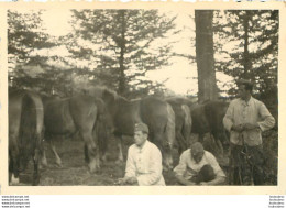 SECONDE GUERRE SOLDATS DE LA WEHRMACHT ET CHEVAUX PHOTO ORIGINALE FORMAT 9.50 X 6 CM - War, Military