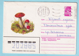 USSR 1979.0403. Orange Oak Bolete (Leccinum Aurantiacum). Prestamped Cover, Used - 1970-79