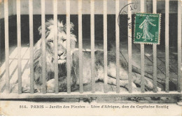 ANIMAUX  AO#AL000811 PHOTO D UN LION DANS UNE CAGE AU JARDIN DES PANTES A PARIS - Leones