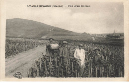 51 AY EN CHAMPAGNE AP#DC585 VUE D UN COTEAU AGRICULTEURS DANS LEUR CHAMP - Ay En Champagne