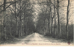 92 MEUDON AP#DC967 LA ROUTE FORESTIERE DU PARC DE MEUDON - Meudon