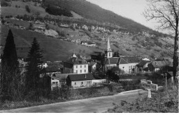 74 MONNETIER AN#MK0823 VUE GENERALE CARTE PHOTO ENTREE DU VILLAGE - Other & Unclassified