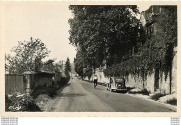 ISLE SUR LE DOUBS LE CHATEAU MEINER  ET VIEILLE AUTOMOBILE - Isle Sur Le Doubs