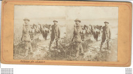 PHOTO STEREOSCOPIQUE RETOUR DE CHASSE - Stereoscopic