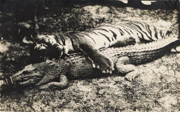 SINGAPOUR SINGAPORE #FG54913 CHASSE AU TIGRE ET CROCODILE CARTE PHOTO - Singapore