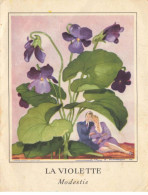 ILLUSTRATEUR #FG55621 JEAN ADRIEN MERCIER LA VIOLETTE LANGAGE DES FLEURS - Altri & Non Classificati