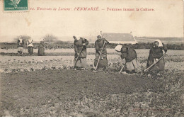 56 PENMARIE #FG55298 PRES LORIENT FEMMES FAISANT LA CULTURE AGRICULTURE - Other & Unclassified