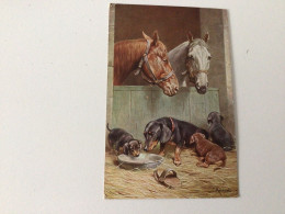 Carte Postale Ancienne  Signée Chevaux Et Chiens T.S.N. Serie 1232(6 Muster.) - Otros & Sin Clasificación