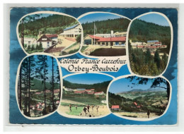 68 ORBEY BEUBOIS #11918 COLONIE DE VACANCES FRANCE CARREFOUR N°249 37 - Orbey