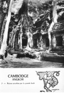 CAMBODGE #FG56118 ANGKOR RUINES ENVAHIESPAR LA GRANDE FORET - Cambodia