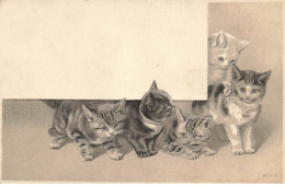 CHAT CAT #FG56006 GROUPE DE CHATS GAUFREE - Katten