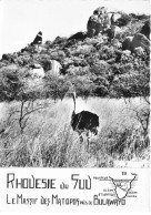 ZIMBABWE RHODESIE DU SUD #FG56146 MASSID DES MATOPOS PRES BULAWAYO AUTRUCHE - Zimbabwe