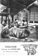 THAILANDE #FG56124 CHIANG MAI DECORATIONS DES OMBRELLES - Tailandia