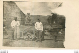 CARTE PHOTO SOLDATS ALLEMANDS ET ATTELAGE - Guerre 1914-18