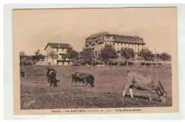 07 LA LOUVESC VILLA NOTRE DAME VACHES EN PATURE - La Louvesc