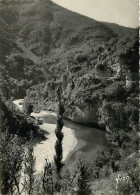 48 - Les Gorges Du Tarn - Près La Malène - Carte Dentelée - CPSM Grand Format - Carte Neuve - Voir Scans Recto-Verso - Gorges Du Tarn