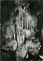 47 - Castella - Grottes De Fontirou - Mention Photographie Véritable - Carte Dentelée - CPSM Grand Format - Voir Scans R - Otros & Sin Clasificación