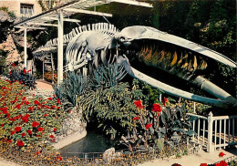 14 - Luc Sur Mer - Jardin Municipal : Squelette De La Baleine échouée Au Lieu Dit Moulin De Luc, Le 12 Janvier 1885 - Fl - Luc Sur Mer