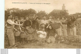 MARSANNAY LA COTE SCENE DE VENDANGE EN BOURGOGNE VIGNE VIGNOBLE Ref1 - Autres & Non Classés