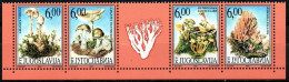 Jugoslawien 1999 - Mi.Nr. 2914 - 2917 - Postfrisch MNH - Pilze Mushrooms - Hongos