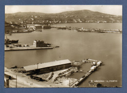 1951 - ANCONA - IL PORTO -  ITALIE - Ancona