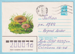 USSR 1979.0425. Orange Milkcap Mushroom (Lactarius Deterrimus). Prestamped Cover, Used - 1970-79