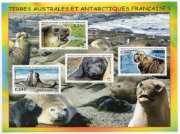 Eléphants De Mer - 2008 - Blocks & Sheetlets
