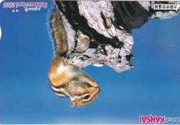 Japan Prepaid Rainbow Card 2000 - Kansai - Squirrel - Japón