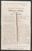 Nazaret, Zevergem, Seevergem, 1910, Rosalia Careel, Janssens - Andachtsbilder