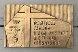 Plakette , Amicale Tambow , Luxembourg , Luxemburg , WWII , Bronze - Sonstige & Ohne Zuordnung