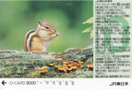 Japan Prepaid JR Card 2000 - Squirrel - Japon