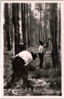 AU PAYS GASCON .- Gemmeur Faisant L'entaille   Poème De Jean-André Jeannin.  Photo Véritable Au Bromure. - Sonstige & Ohne Zuordnung