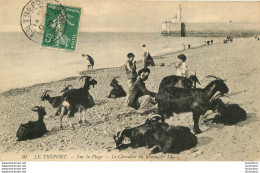 LE TREPORT LE CHEVALIER DU BEARN CHEVRES - Le Treport