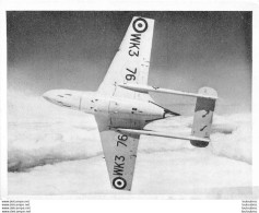 AVION SEA VENOM NF MK.200  PHOTO  M.A.P. ISSUE 1 FORMAT 10.50 X 8 CM - Luftfahrt