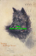 R620271 Young Scottish Terrier. Maud West Watson. Sketches Of Doggies. Tuck. Oil - World