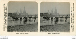 PHOTO STEREOSCOPIQUE DRESDE GUE AUX CHEVAUX AVEC PUBLICITE VAN ZUYLEN FRERES LIEGE - Stereoscopic