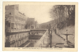 66/CPA - Amélie Les Bains - Promenade Carcassonne - Amélie-les-Bains-Palalda