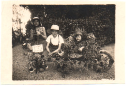 Photo Originale : Enfants Dans Une Brouette - Déguisés En Jardinier : Belle Animation : 19cm X 12,8cm - Persone Anonimi