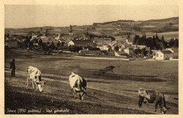 France > [43] Haute Loire > Tence - Vue Générale - Troupeau De Vaches - 7643 - Andere & Zonder Classificatie