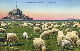 France > [50] Manche > Le Mont Saint Michel - Les Prés Salés - Moutons - 7647 - Le Mont Saint Michel