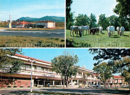 73339465 Lipica Hotel Maestoso Motel Kozina Lipizzaner Pferde Lipica - Slovenië