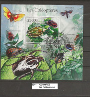 Bloc Comores De 2011 Oblitéré Coléoptères 2500 FC - Komoren (1975-...)