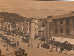 VIANA DO CASTELO - Curioso Movimento Da Avenida Dos Combatentes Da Grande Guerra, Na Decada De 1930 - PORTUGAL - Viana Do Castelo