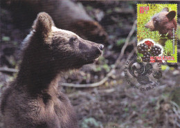 BEARS,2014 MAXICARD,CARTES MAXIMUM ROMANIA. - Bears